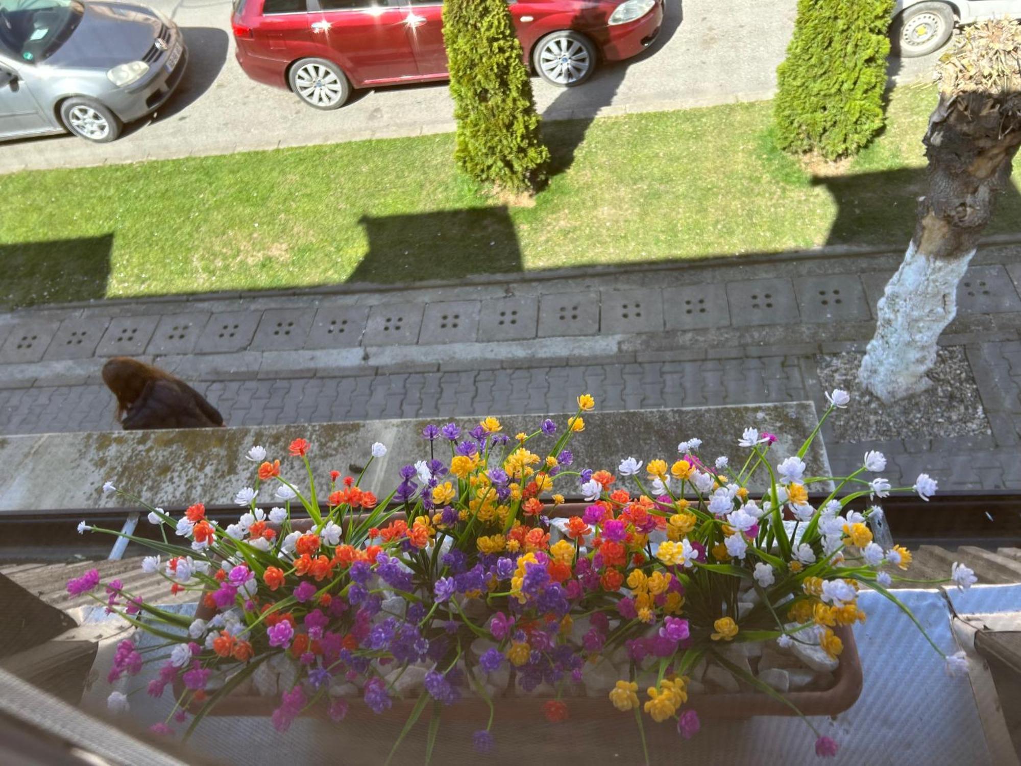 Bivolul Negru Apartamento Blaj Exterior foto